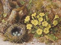 Still Life with a Bird's Nest and Primroses on a Mossy Bank-Wiliam B. Hough-Giclee Print