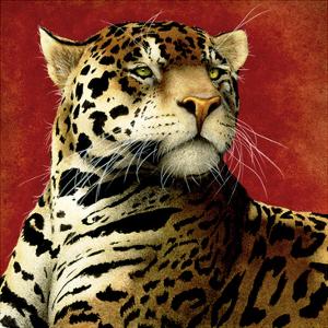 Fire Cat by Will Bullas