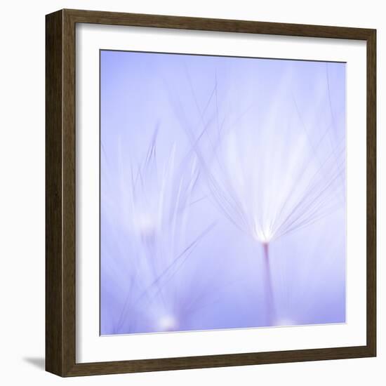 Will o' the Wisp I-Lynne Douglas-Framed Photographic Print