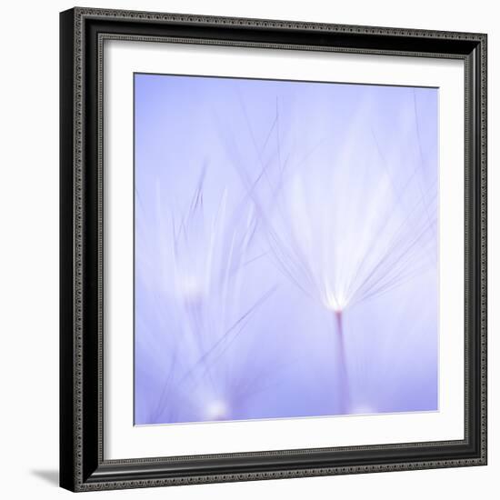 Will o' the Wisp I-Lynne Douglas-Framed Photographic Print