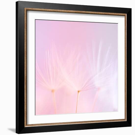 Will o'-the Wisp IV-Lynne Douglas-Framed Photographic Print