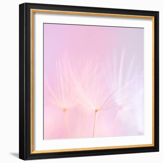 Will o'-the Wisp IV-Lynne Douglas-Framed Photographic Print