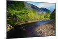 Photographic Print