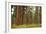 Willamette Nat'l Forest III-Erin Berzel-Framed Photographic Print