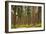 Willamette Nat'l Forest IV-Erin Berzel-Framed Photographic Print