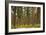 Willamette Nat'l Forest IV-Erin Berzel-Framed Photographic Print