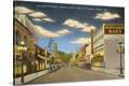 Stretched Canvas Print
