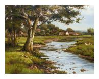 Scottish Morning-Willard-Stretched Canvas