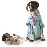 Veterinary Care - German Shorthaired Pointer Dressed as a Veterinarian Looking after Sick Puppy-Willee Cole-Photographic Print
