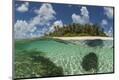 Photographic Print