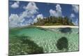 Photographic Print