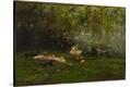 Stretched Canvas Print