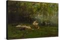 Stretched Canvas Print