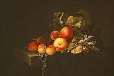 Still Life with Fruit-Willem van Aelst-Framed Giclee Print