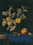 Still Life with Grapes and Peaches-Willem van Aelst-Giclee Print