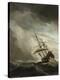 Stretched Canvas Print