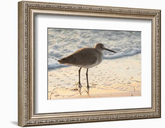 Willet-Lynn M^ Stone-Framed Photographic Print