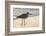 Willet-Lynn M^ Stone-Framed Photographic Print