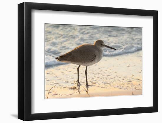 Willet-Lynn M^ Stone-Framed Photographic Print