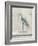 Willet-Arnie Fisk-Framed Art Print