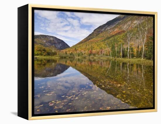 Willey Pond, Crawford Notch State Park, White Mountains, New Hampshire, New England, USA-Neale Clarke-Framed Premier Image Canvas