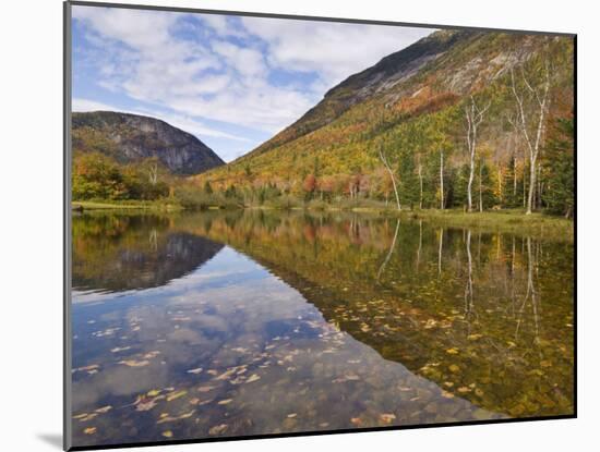 Willey Pond, Crawford Notch State Park, White Mountains, New Hampshire, New England, USA-Neale Clarke-Mounted Photographic Print