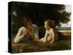 Stretched Canvas Print