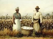 A Cotton Plantation on the Mississippi, Pub. 1884-William Aiken Walker-Giclee Print