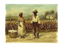 Picked Cotton-William Aiken		 Walker-Mounted Giclee Print