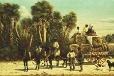A Cotton Plantation on the Mississippi, Pub. 1884-William Aiken Walker-Framed Giclee Print