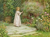 In the Garden-William Ashburner-Giclee Print