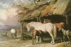 Mares and Foals, 19th Century-William Barraud-Framed Giclee Print