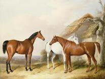 Outside the Stable, 1845-William Barraud-Framed Giclee Print