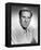 William Bendix-null-Framed Stretched Canvas