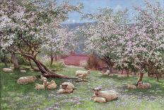 Appleblossom-William Biscombe Gardner-Giclee Print