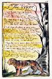 The Sick Rose: Plate 39 from Songs of Innocence and of Experience C.1815-26-William Blake-Giclee Print