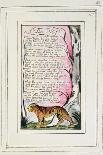 Eve Tempted by the Serpent-William Blake-Giclee Print