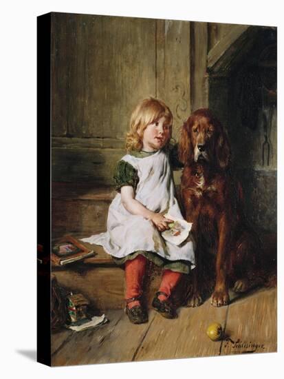 Stretched Canvas Print, , large