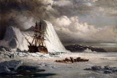 Polar Bear on an Iceberg-William Bradford-Giclee Print