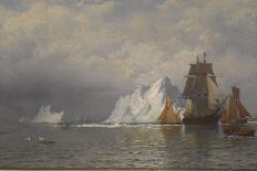 Polar Bear on an Iceberg-William Bradford-Giclee Print