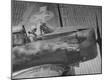 Premium Photographic Print