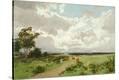 Stretched Canvas Print