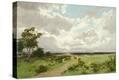 Stretched Canvas Print