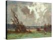 Stretched Canvas Print