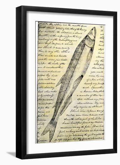 William Clark's Sketch of a Trout in the Lewis and Clark Expedition Diary-null-Framed Giclee Print