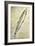 William Clark's Sketch of a Trout in the Lewis and Clark Expedition Diary-null-Framed Giclee Print