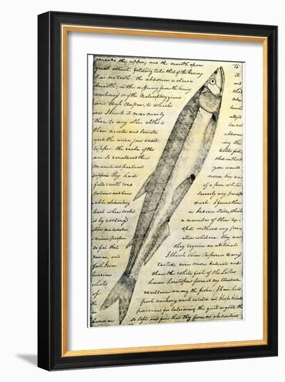 William Clark's Sketch of a Trout in the Lewis and Clark Expedition Diary-null-Framed Giclee Print