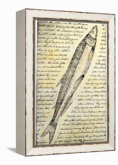 William Clark's Sketch of a Trout in the Lewis and Clark Expedition Diary-null-Framed Premier Image Canvas