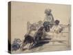 Stretched Canvas Print