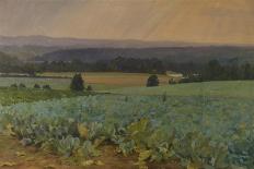 Turnip Field-William Cosens Way-Premier Image Canvas